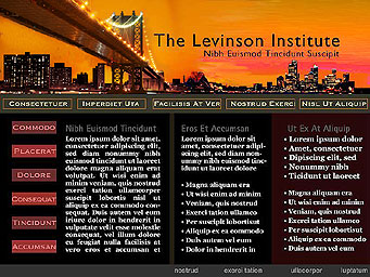 Levinson Institute Website Concept: Building Bridges