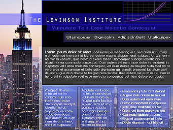 Levinson Institute Website Concept: Reaching For The Sky