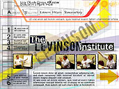 Levinson Institute Website Concepts