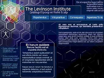 Levinson Institute Website Concept: Building Human Organizational Structures