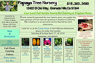 Papaya Tree Nursery